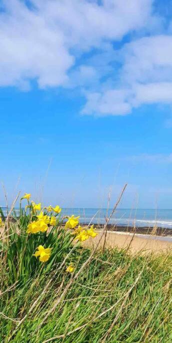 Herne Bay Central - 2 Minutes From Beach Apartment 外观 照片