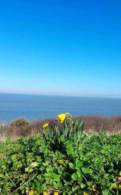 Herne Bay Central - 2 Minutes From Beach Apartment 外观 照片